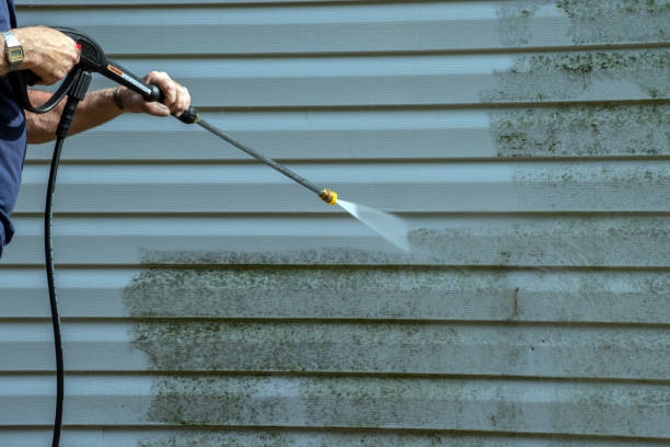 Best Pool Deck Cleaning  in Valrico, FL